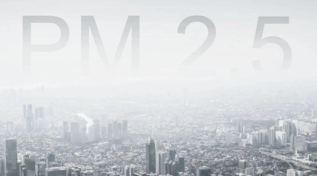 What’s in the Air You Breathe? A Look at Particulate Matter (PM) You Might Overlook!