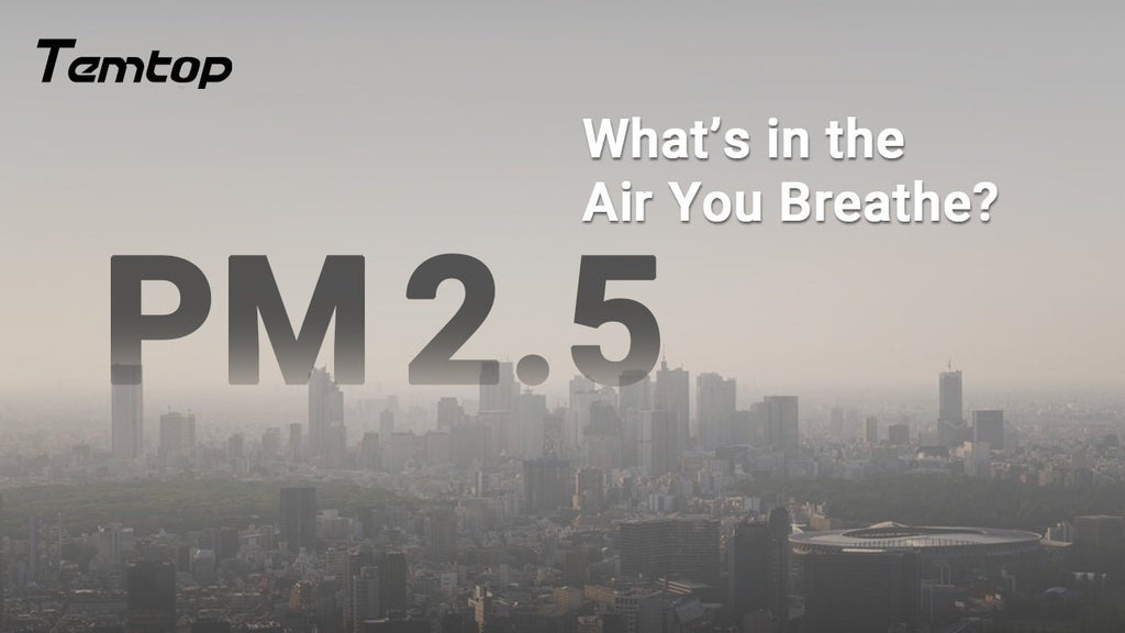 What’s in the Air You Breathe?--A Look at Particulate Matter (PM) You Might Overlook!