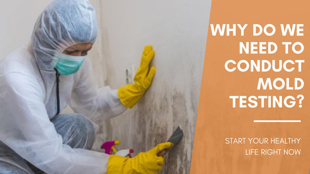 Why Do We Need to Conduct Mold Testing?-Temtop